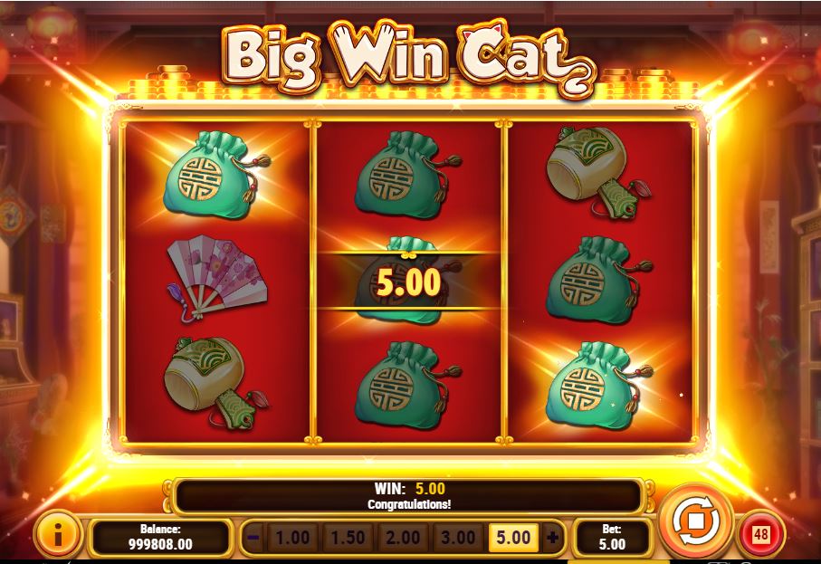 big win cat base game