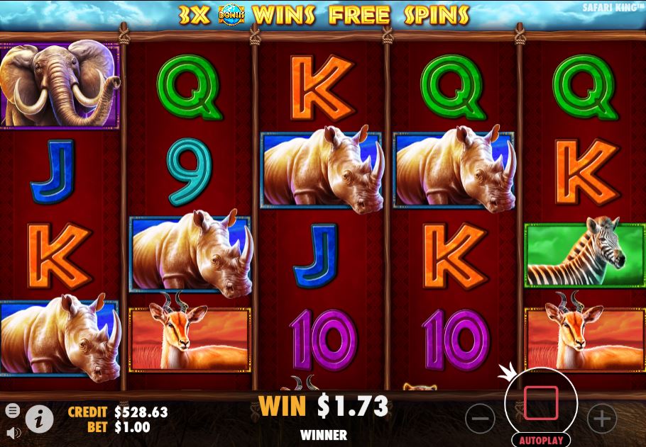 safari king base game